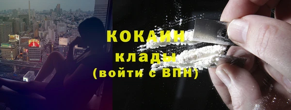 стаф Аркадак