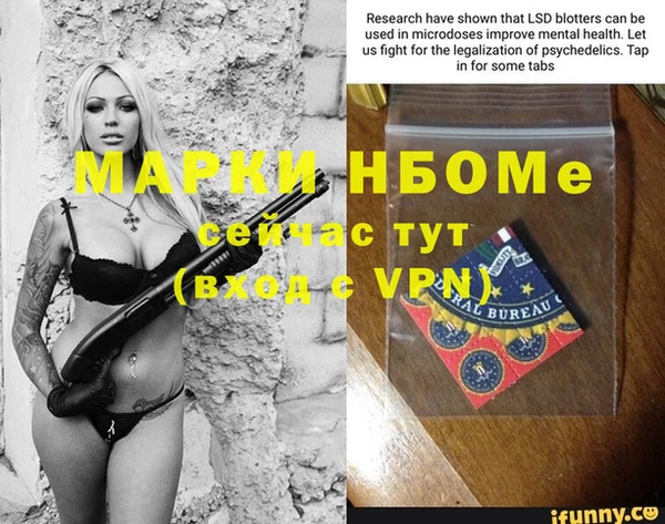 стаф Аркадак