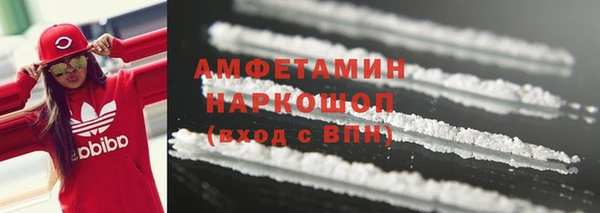 стаф Аркадак