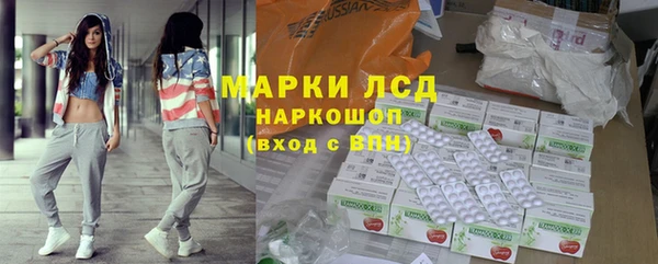 стаф Аркадак