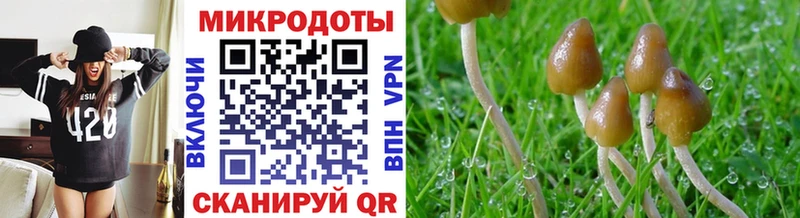 Псилоцибиновые грибы мухоморы  Харовск 